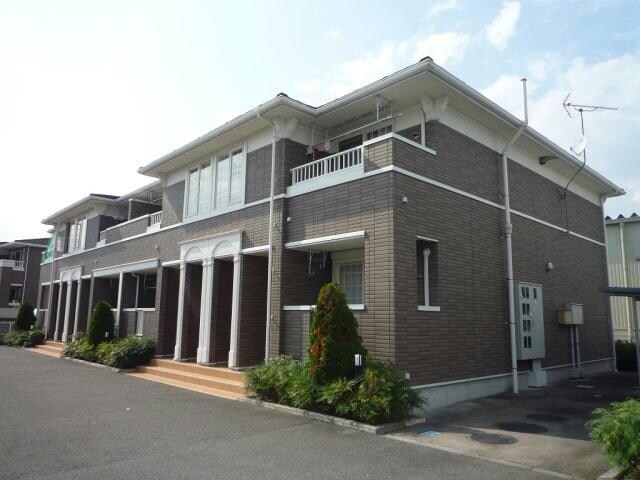  ストリート秋桜