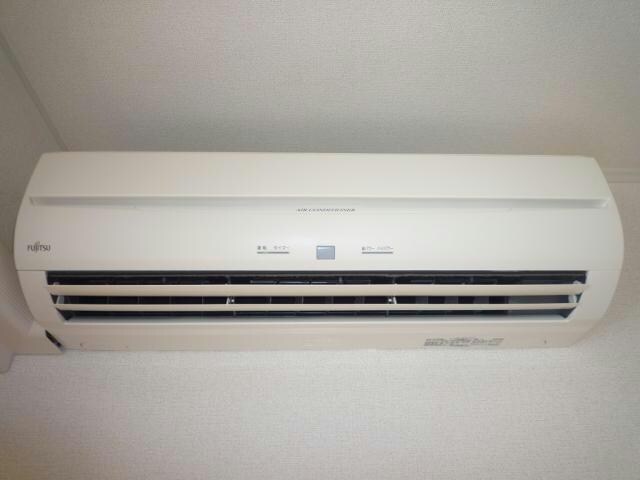  ストリート秋桜