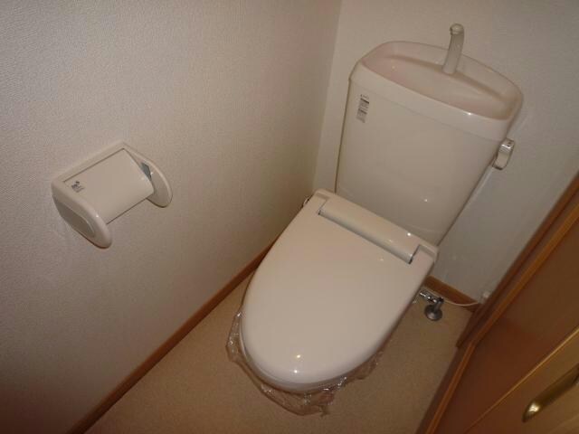  ストリート秋桜