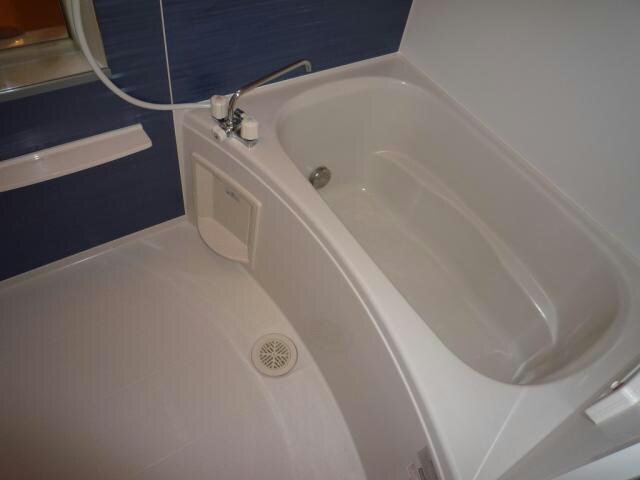  ストリート秋桜