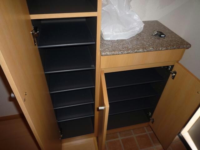  ストリート秋桜