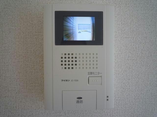  ストリート秋桜