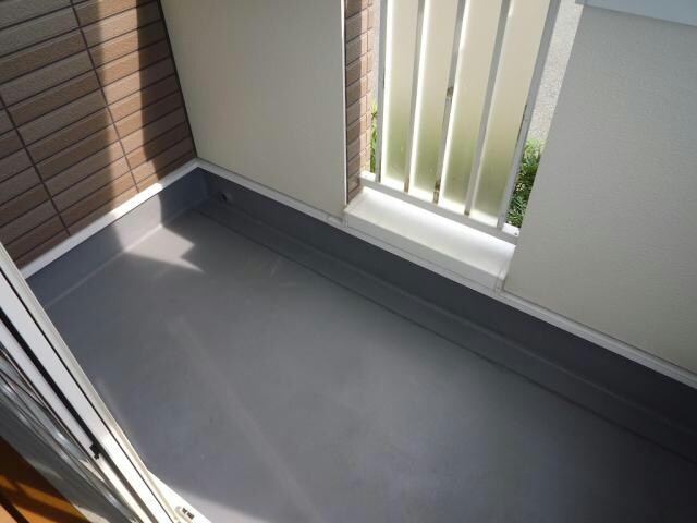  ストリート秋桜