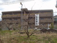 ユーミー花いち