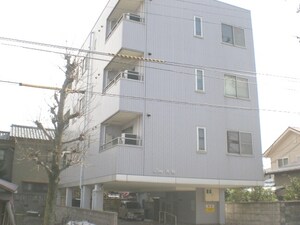 LION舞崎