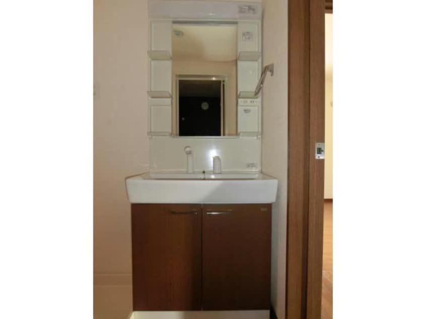 シャンプードレッサー ルミナス・新和