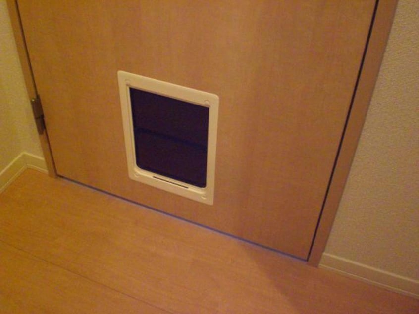 ペット通路(玄関～リビング) コージーハウス