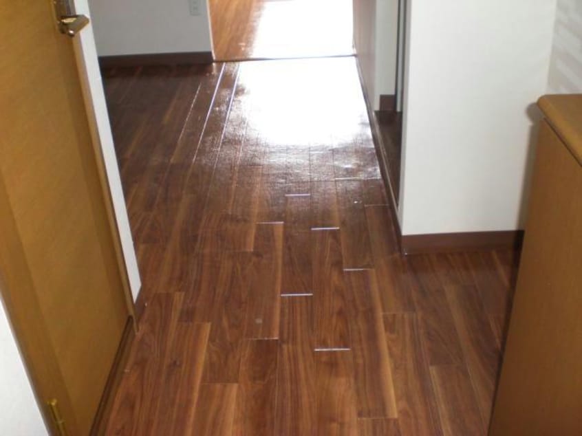 玄関周り コンソラトゥール