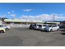 ビバホーム足利店(電気量販店/ホームセンター)まで2008m※スーパービバホーム系列店です。 石川アパート（大前町の貸家）