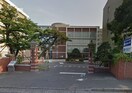 国立新潟大学医学部(大学/短大/専門学校)まで717m BUENA西堀通5番町