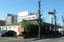 ﾛｲﾔﾙﾎｽﾄ新潟県庁前店(その他飲食（ファミレスなど）)まで283m ウイロー東出来島