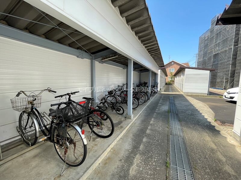  ヴェルシティ河渡