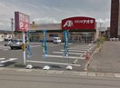 ｸｽﾘのｱｵｷ 女池店(ドラッグストア)まで465m ピュア女池A棟