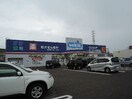 ｳｴﾙｼｱ 新潟新和店(ドラッグストア)まで390m クレール上所I