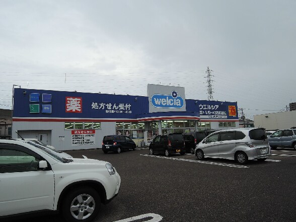 ｳｴﾙｼｱ 新潟新和店(ドラッグストア)まで391m クレール上所I