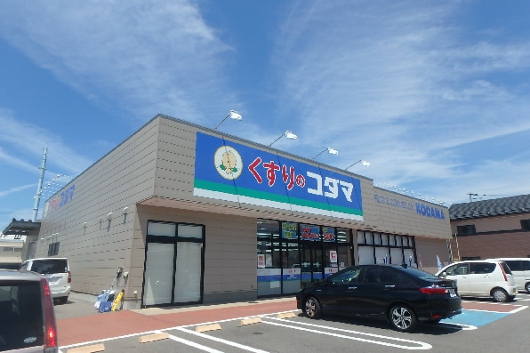 ｺｺｶﾗﾌｧｲﾝ鳥屋野南店(ドラッグストア)まで188m 楠風イルミナ