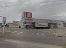 ｳｴﾙｼｱ新潟大学前店(ドラッグストア)まで817m リベロ砂山