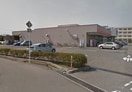 清水ﾌｰﾄﾞｾﾝﾀｰ坂井店(スーパー)まで567m リベロ砂山