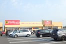 DrugTops 亀貝店(ドラッグストア)まで2713m リベロ砂山