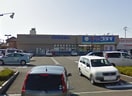 ｺｺｶﾗﾌｧｲﾝ 女池店(ドラッグストア)まで650m ラポール菜の花館