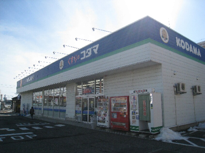 ココカラファイン 関屋店(ドラッグストア)まで706m SAKASU　SHONAN