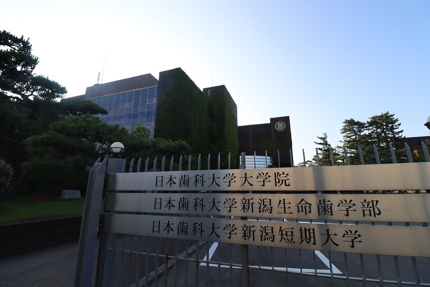 私立日本歯科大学新潟生命歯学部(大学/短大/専門学校)まで818m SAKASU　SHONAN