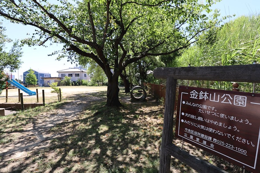 金鉢山公園(公園)まで196m ヒルズ柿乃木坂