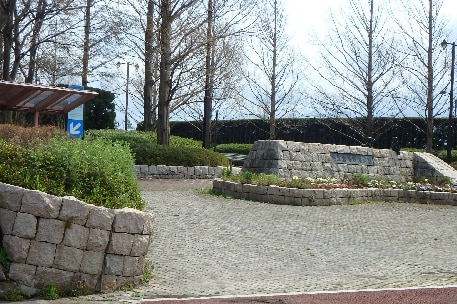 鳥屋野潟公園(公園)まで786m サンビレッジフェリシアE棟