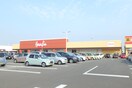原信亀貝店(スーパー)まで1311m コンドミニアムリベロ坂井
