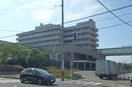 新潟県立がんｾﾝﾀｰ新潟病院(病院)まで377m BUENA川岸町