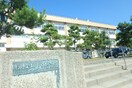 新潟市立上山中学校(中学校/中等教育学校)まで708m トゥールドゥソレイユ