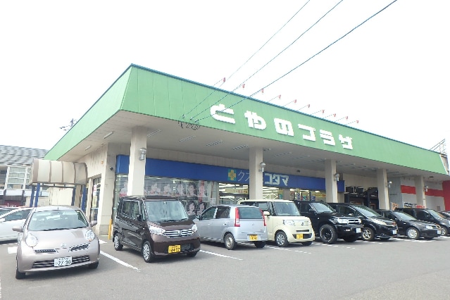 ｸｽﾘのｺﾀﾞﾏとやの店(ドラッグストア)まで793m BUENA堀之内南3A棟