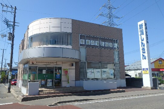 新潟信用金庫鳥屋野支店(銀行)まで802m T＆K網川原Ｅ棟