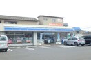 ﾛｰｿﾝ 新潟堀之内南一丁目店(コンビニ)まで520m リゾナーレ和合町