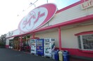 ｻﾞ･ﾀﾞｲｿｰ 新潟県庁前店(スーパー)まで264m ドルチェウエダ