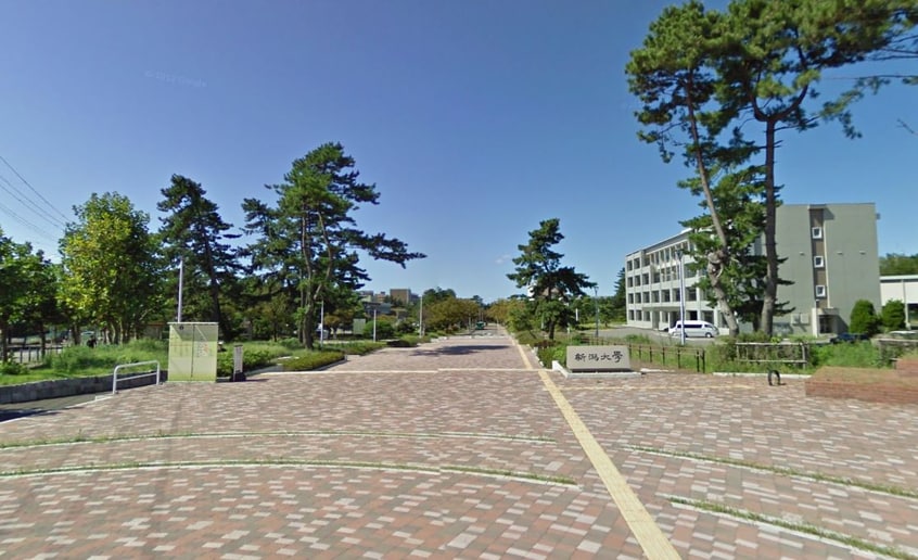 新潟大学五十嵐キャンパス(大学/短大/専門学校)まで973m シリウス