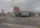 ｳｴﾙｼｱ新潟大学前店(ドラッグストア)まで1025m シリウス