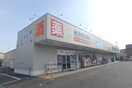 ｳｴﾙｼｱ新潟上木戸店(ドラッグストア)まで1210m T＆S寺山