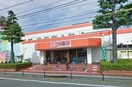 清水フード　とやの店まで1000m エレガンス