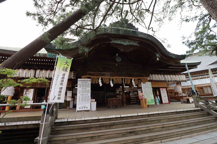 白山神社まで269m ダイアパレス市役所前