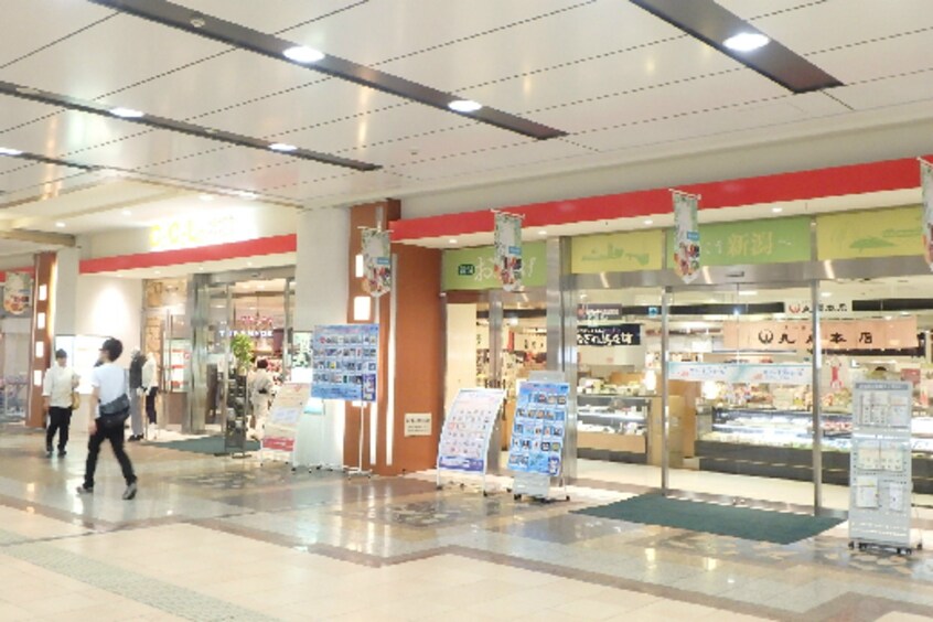 CoCoLo万代けんこう市場(スーパー)まで315m アイコニックタワー　新潟ステーション