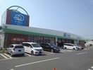 トキハインダストリー中津店(スーパー)まで999m 日豊本線/東中津駅 徒歩20分 1-2階 築16年