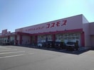 ディスカウントドラッグコスモス中津田尻店(ドラッグストア)まで754m 日豊本線/東中津駅 徒歩21分 2階 築14年