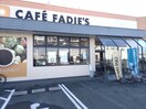 カフェファディ中津店(スーパー)まで1437m 日豊本線/中津駅 徒歩21分 2階 築4年
