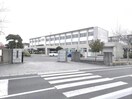 中津市立豊陽中学校(中学校/中等教育学校)まで1038m 日豊本線/中津駅 徒歩21分 2階 築4年