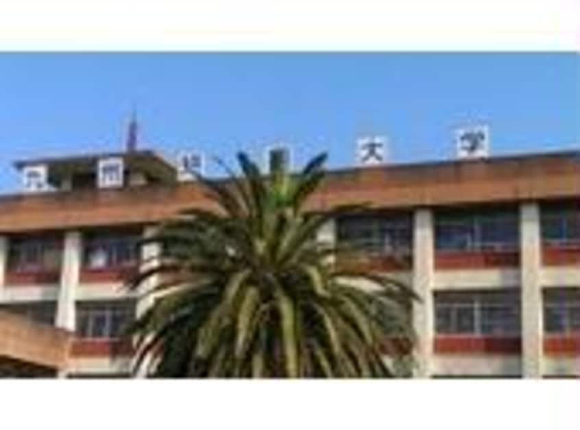 私立東九州短期大学(大学/短大/専門学校)まで1163m 日豊本線/中津駅 徒歩33分 1-2階 築2年