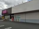 ディスカウントドラッグコスモス中津蛭子店(ドラッグストア)まで665m 日豊本線/中津駅 徒歩12分 1-2階 築55年