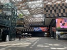 長岡市役所(役所)まで622m ベルミーユ