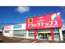 ドラッグ・トップス古正寺店(ドラッグストア)まで382m グリーンタウン