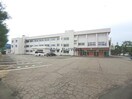 長岡市立上組小学校(小学校)まで319m エスキベルＡ
